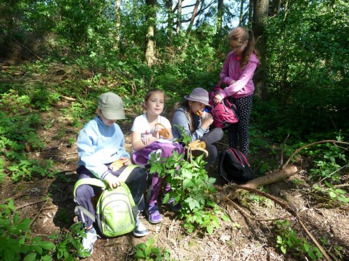 Vycházka na Rovninu - 7.5.2016