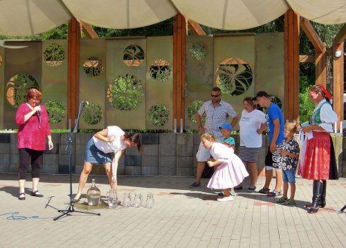 Den Mikroregionu Dolní Poolšaví - 14.8.2016