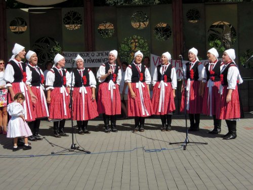 Den Mikroregionu Dolní Poolšaví - 14.8.2016