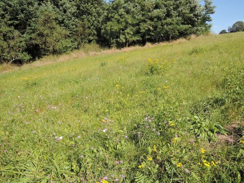 Veselý Hluboček - 4.9.2016