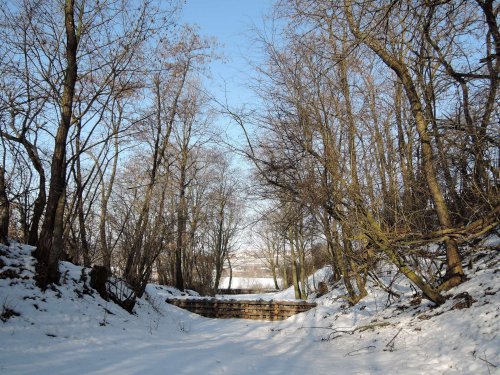 Sníh na podolsku - 12.2.2017