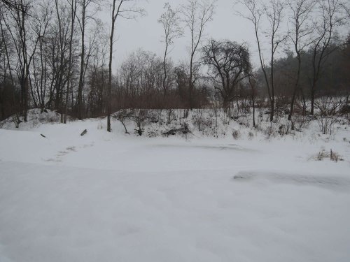 Světový den mokřadů v Podolí - 4.2.2017