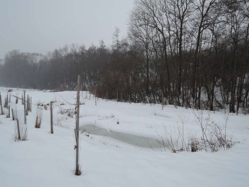 Světový den mokřadů v Podolí - 4.2.2017