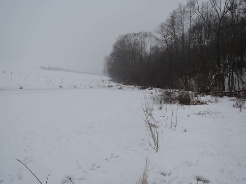 Světový den mokřadů v Podolí - 4.2.2017