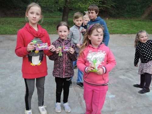 Stavění máje a pálení čarodějnic - 30.4.2017