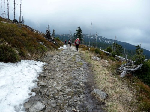 Zájezd na Králický sněžník - 7.5.2017