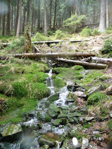 Zájezd na Králický sněžník - 7.5.2017