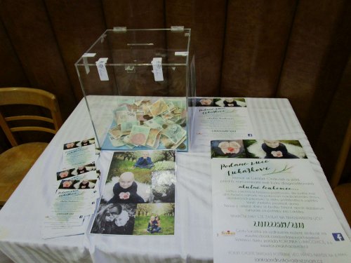 Dobročinná módní přehlídka - 17.6.2017