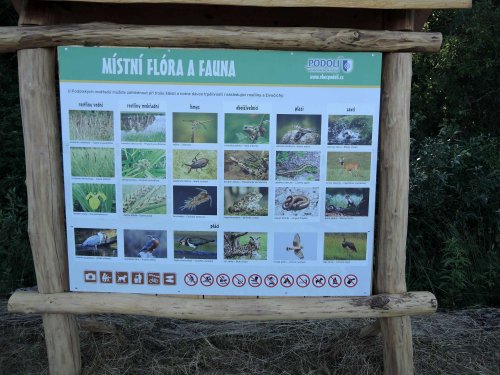 Druhé narozeniny mokřadů - 24.6.2017