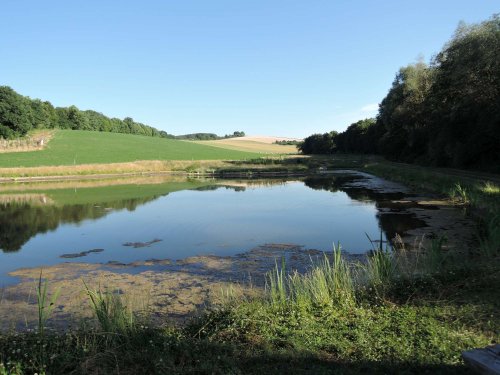 Druhé narozeniny mokřadů - 24.6.2017