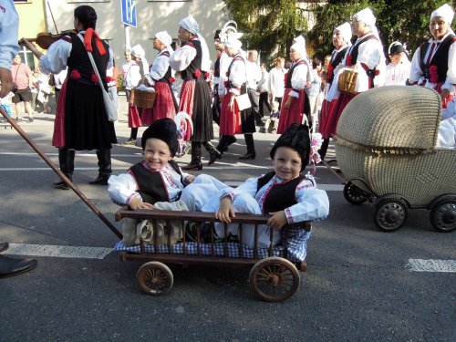 Slavnosti vína v Uherském Hradišti - 9.9.2017