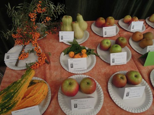 Okresní výstava ovoce, zeleniny, hroznů a okrasných rostlin - 1.10.2017