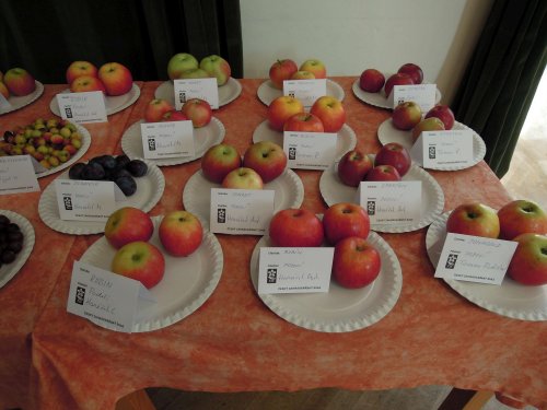 Okresní výstava ovoce, zeleniny, hroznů a okrasných rostlin - 1.10.2017