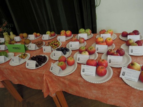 Okresní výstava ovoce, zeleniny, hroznů a okrasných rostlin - 1.10.2017
