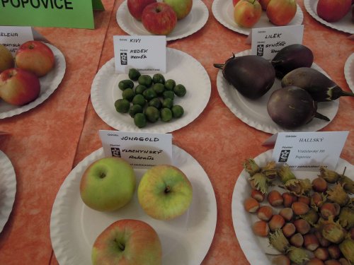 Okresní výstava ovoce, zeleniny, hroznů a okrasných rostlin - 1.10.2017