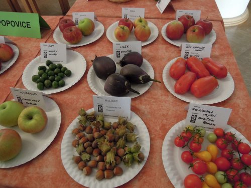 Okresní výstava ovoce, zeleniny, hroznů a okrasných rostlin - 1.10.2017