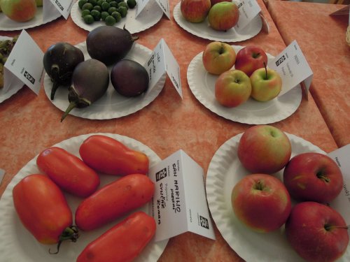 Okresní výstava ovoce, zeleniny, hroznů a okrasných rostlin - 1.10.2017