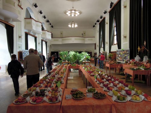 Okresní výstava ovoce, zeleniny, hroznů a okrasných rostlin - 1.10.2017