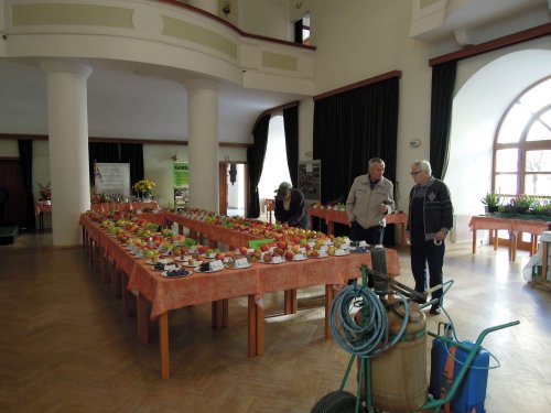 Okresní výstava ovoce, zeleniny, hroznů a okrasných rostlin - 1.10.2017