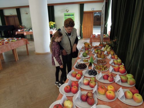 Okresní výstava ovoce, zeleniny, hroznů a okrasných rostlin - 1.10.2017