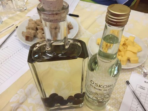 Košt slivovice - 10.3.2018