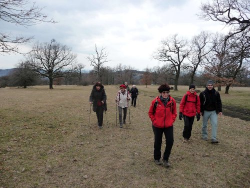 Sokolská vycházka na Radějov - 1.4.2018
