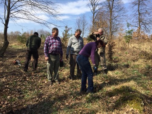Výsadba dubů - 7.4.2018