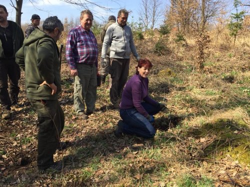 Výsadba dubů - 7.4.2018