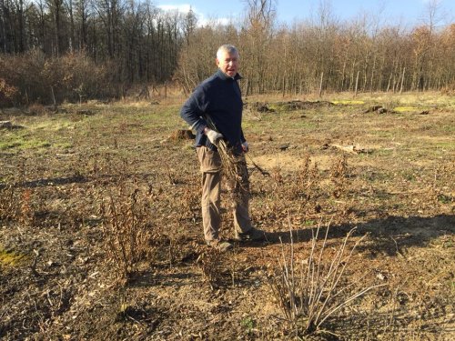 Výsadba dubů - 7.4.2018