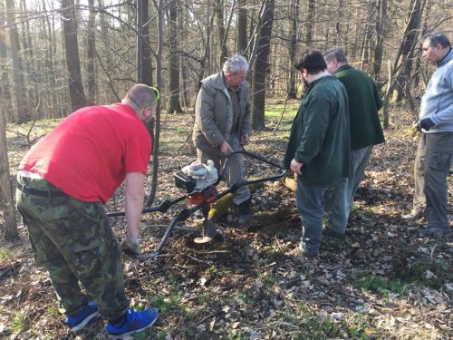 Výsadba dubů - 7.4.2018