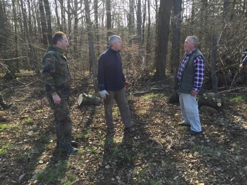 Výsadba dubů - 7.4.2018