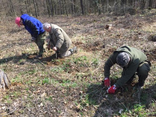 Výsadba dubů - 7.4.2018