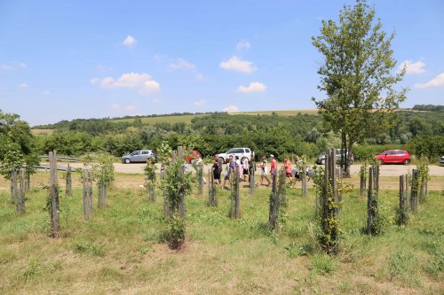 Vesnice roku - 21.6.2018