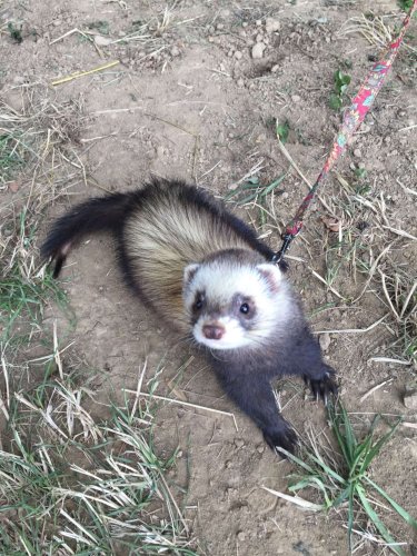 Narozeniny mokřadů - 24.6.2018