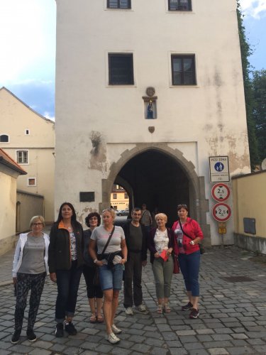 Sokolové na Třeboňsku - 12.7.2018