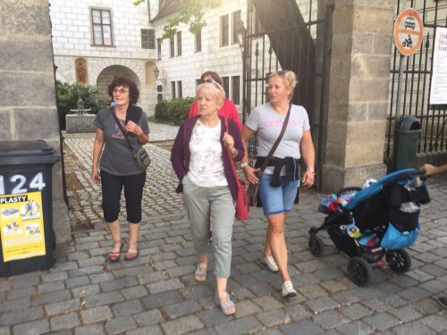 Sokolové na Třeboňsku - 12.7.2018