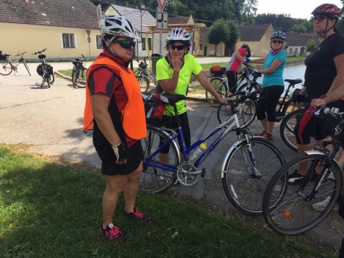 Sokolové na Třeboňsku - 12.7.2018