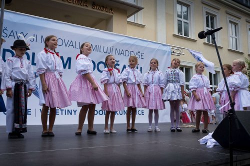 Slavnosti vína v Uherském Hradišti - 8.9.2018