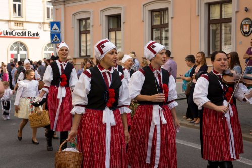 Slavnosti vína v Uherském Hradišti - 8.9.2018
