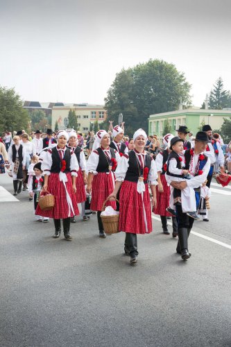 Slavnosti vína v Uherském Hradišti - 8.9.2018