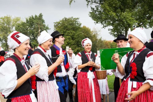 Slavnosti vína v Uherském Hradišti - 8.9.2018