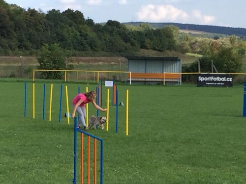 Sokolský sportovní den - 15.9.2018