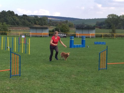 Sokolský sportovní den - 15.9.2018