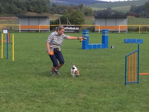 Sokolský sportovní den - 15.9.2018