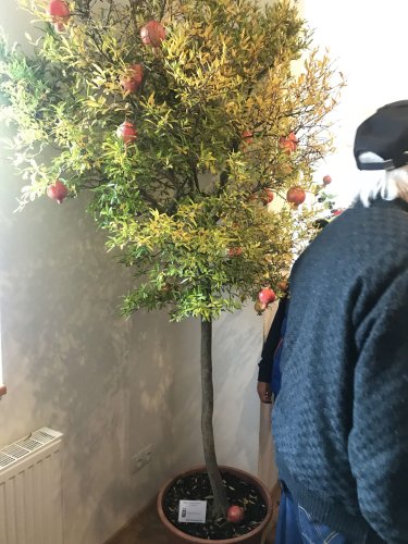 Hodové slavnosti v Podolí - 20.10.2018