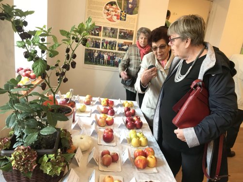 Hodové slavnosti v Podolí - 20.10.2018