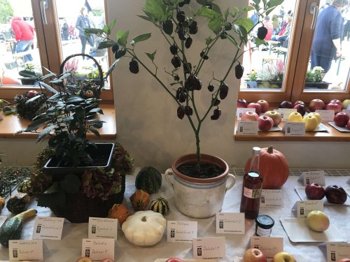 Hodové slavnosti v Podolí - 20.10.2018