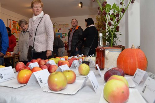 Hodové slavnosti v Podolí - 20.10.2018
