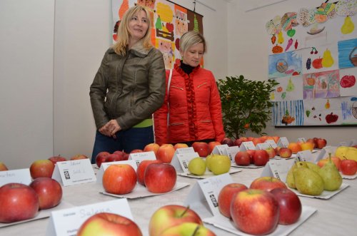 Hodové slavnosti v Podolí - 20.10.2018