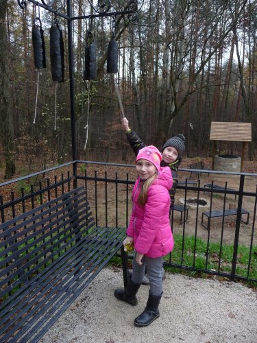 Sokolíci na vycházce - 24.11.2018